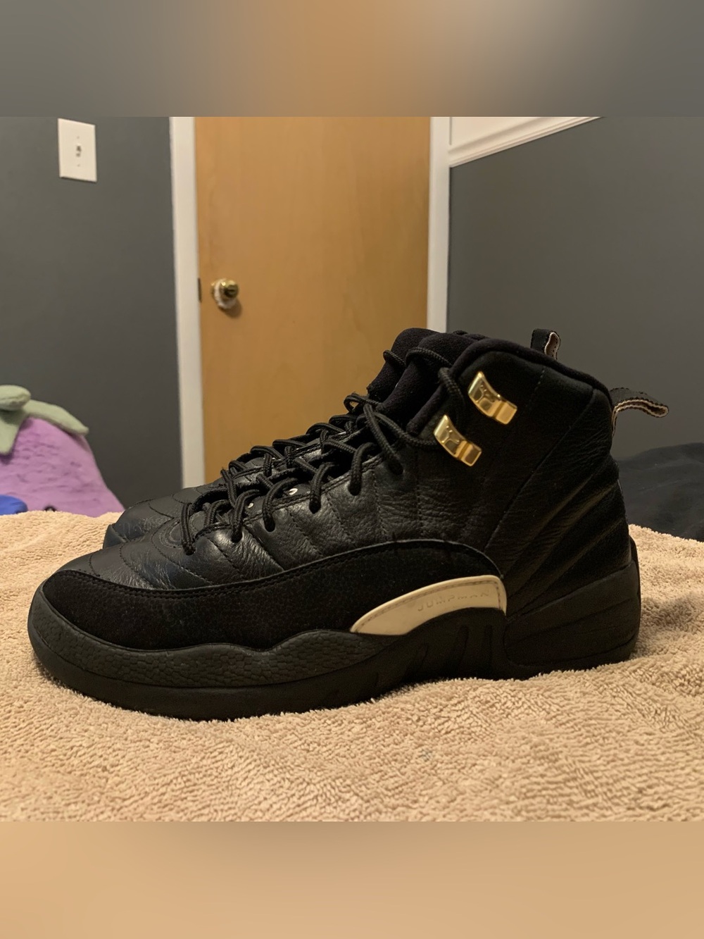 Air Jordan Retro 12 “The Master”
